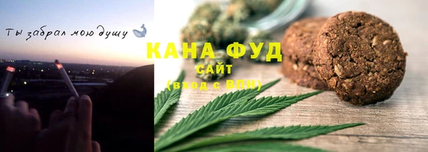 дживик Надым