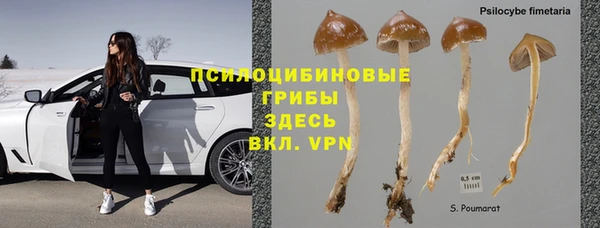 мяу мяу мука Белая Калитва