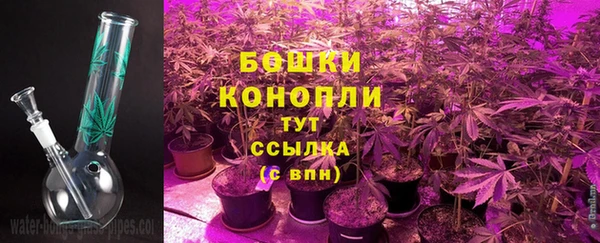 ECSTASY Навашино