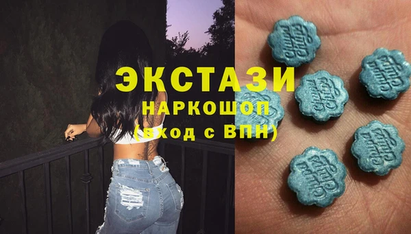 дживик Надым
