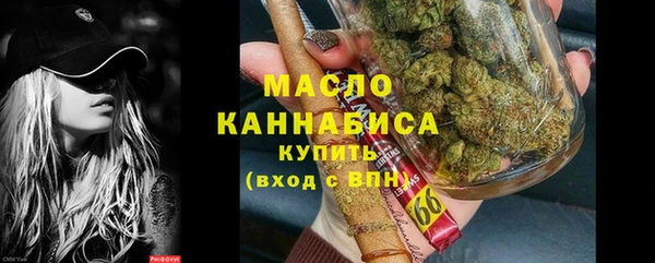 дживик Надым