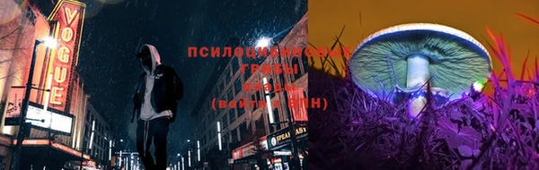 ECSTASY Навашино