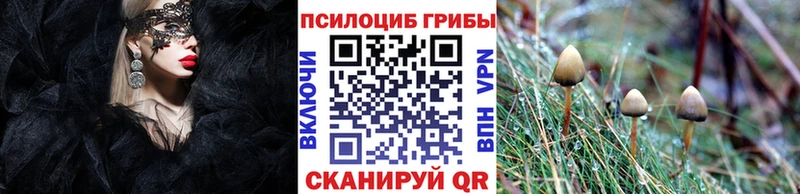 Галлюциногенные грибы Magic Shrooms  где найти   Инсар 